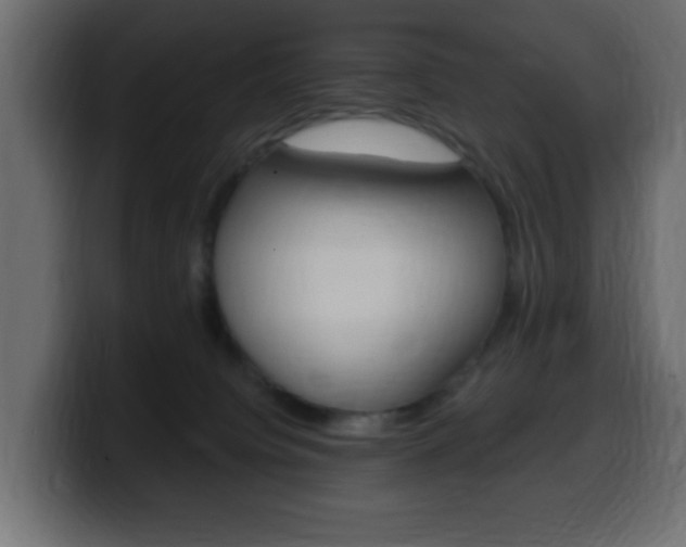 X0000100390084200806060842