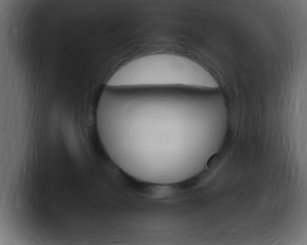 X0000100390085200806060842