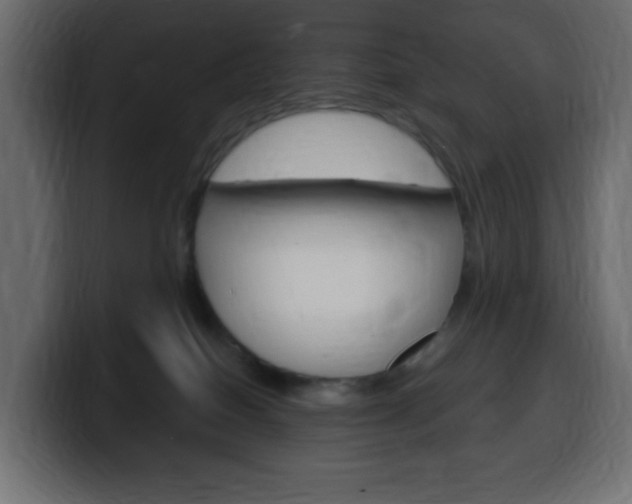 X0000100390086200806060842