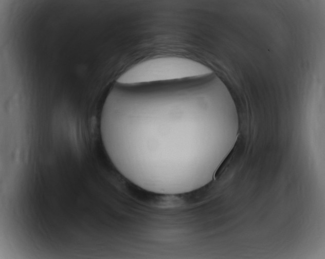 X0000100390087200806060842