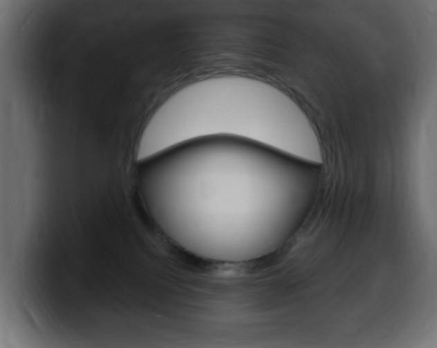 X0000100390088200806060842
