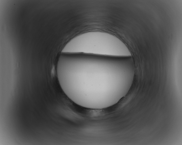 X0000100390089200806060842