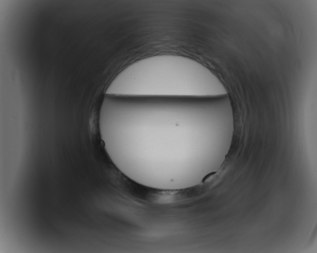 X0000100390090200806060842