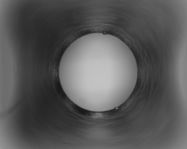 X0000100390091200806060842