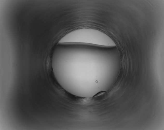 X0000100390092200806060842