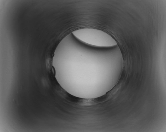 X0000100390093200806060842