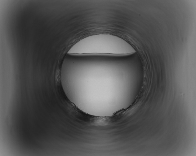 X0000100390096200806060842