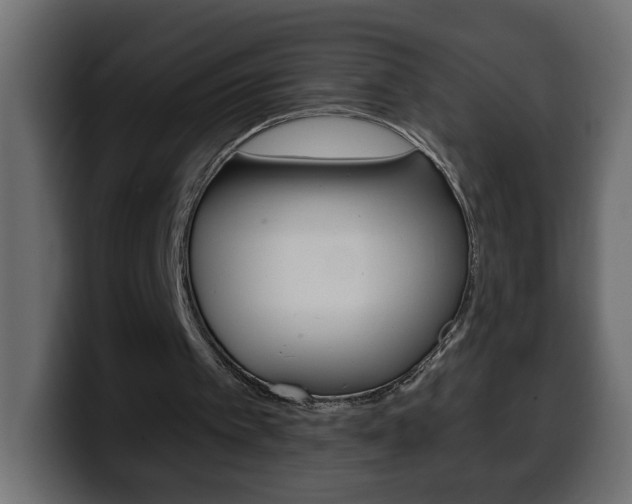 X0000100390097200806060842