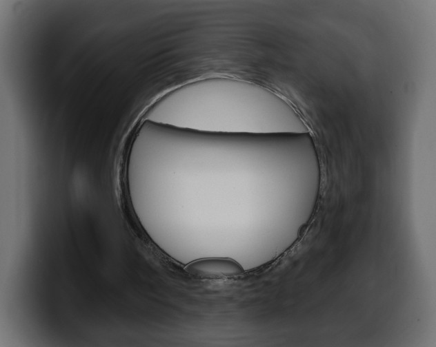 X0000100390098200806060842