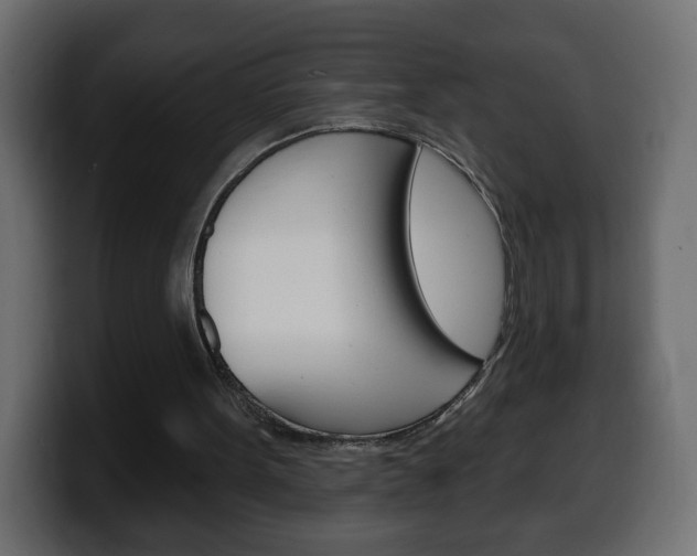 X0000100390099200806060842