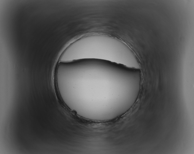 X0000100390100200806060842