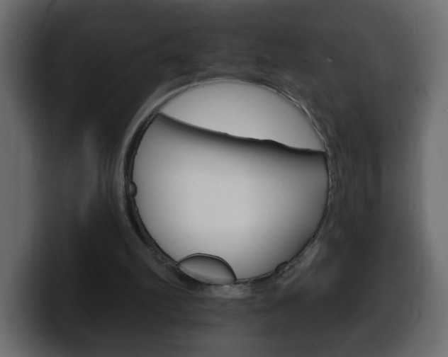 X0000100390102200806060842