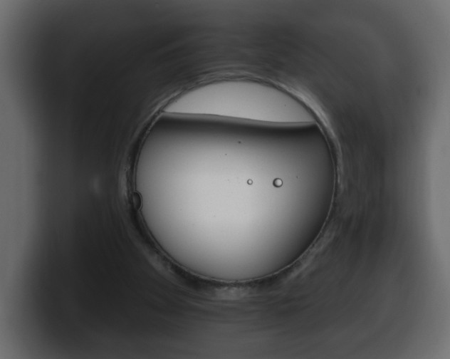 X0000100390105200806060842