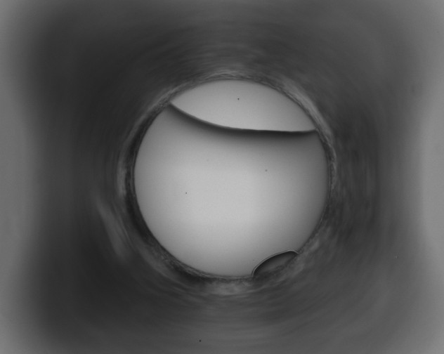 X0000100390106200806060842
