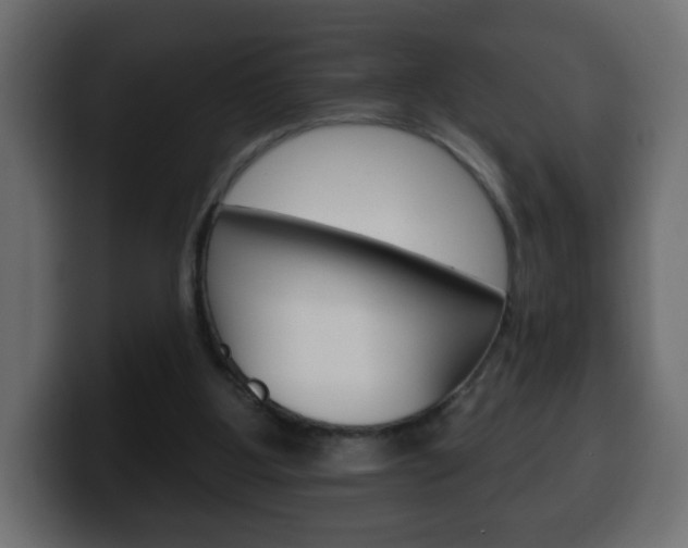 X0000100390107200806060842