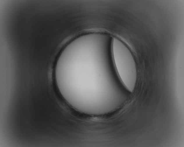 X0000100390111200806060842