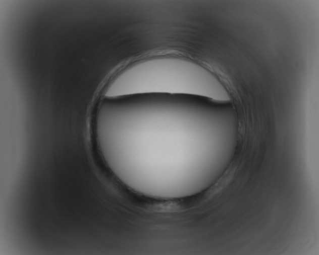 X0000100390112200806060842