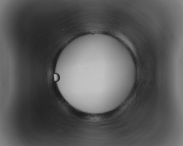 X0000100390113200806060842