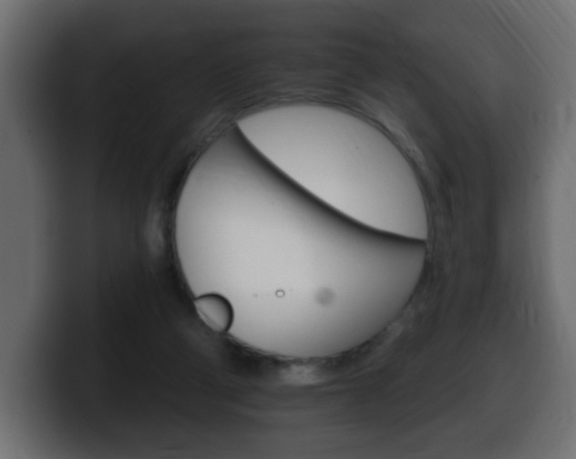 X0000100390114200806060842