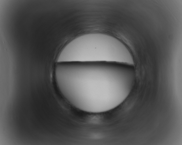 X0000100390115200806060841