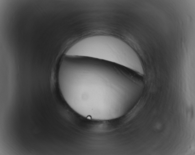 X0000100390116200806060841