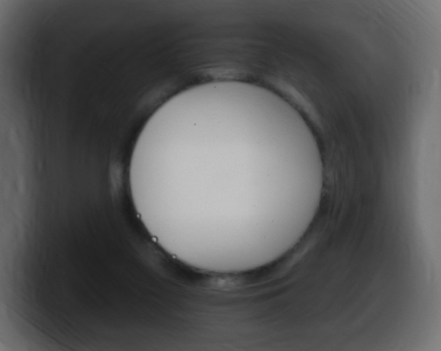 X0000100390117200806060841