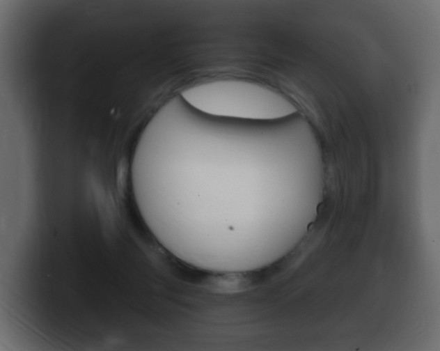 X0000100390118200806060841