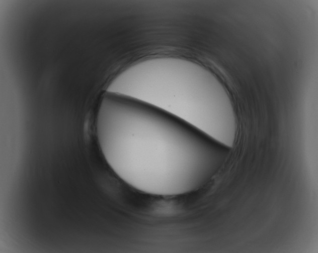 X0000100390119200806060841