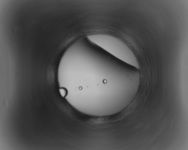 X0000100390120200806060841