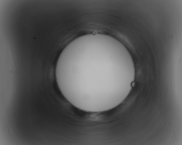 X0000100390121200806060841