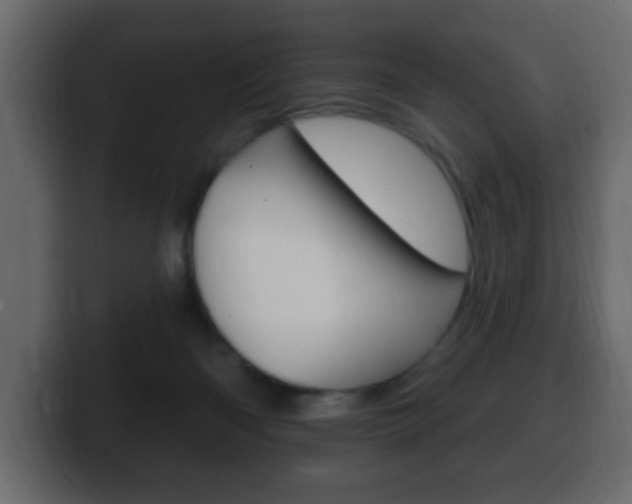X0000100390122200806060841