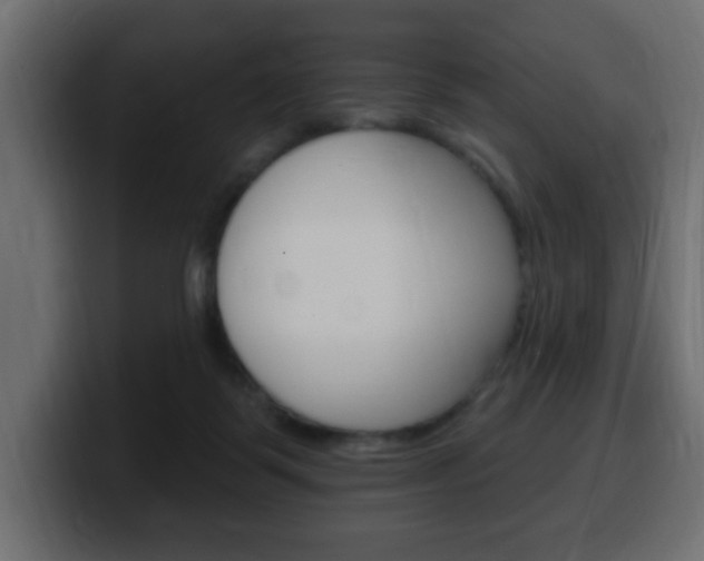 X0000100390123200806060841