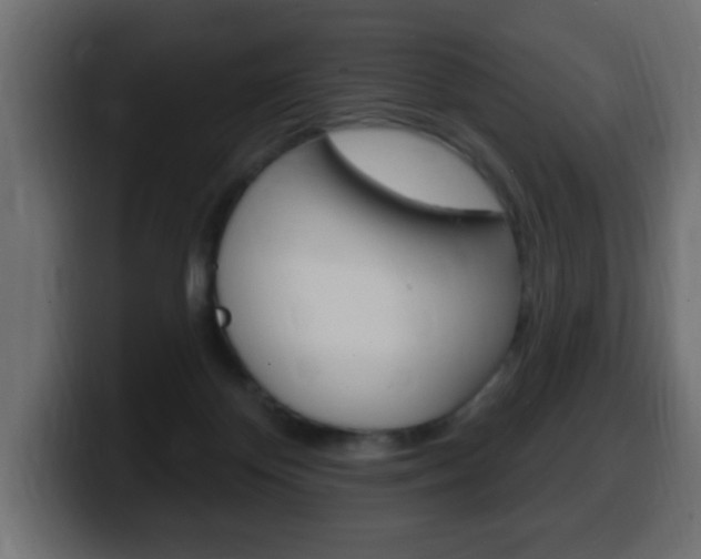 X0000100390124200806060841