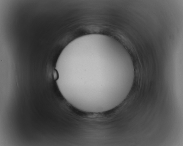 X0000100390125200806060841