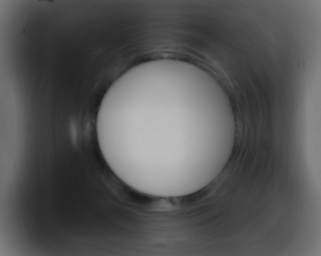 X0000100390126200806060841
