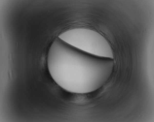 X0000100390127200806060841