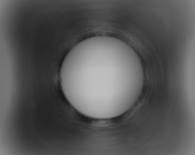 X0000100390129200806060841