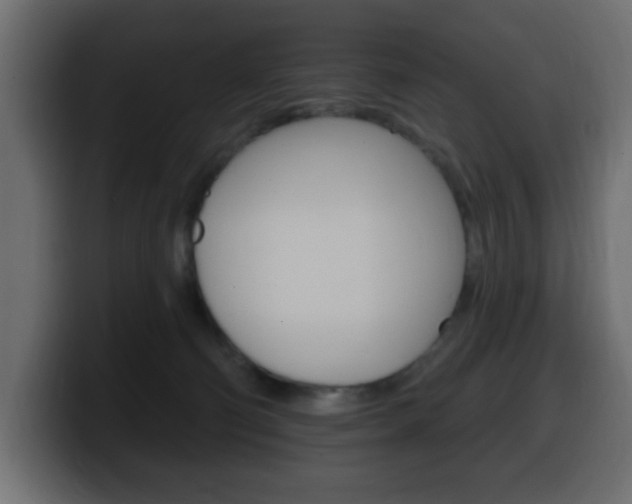 X0000100390130200806060841