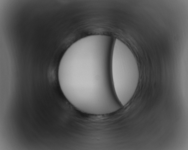 X0000100390131200806060841