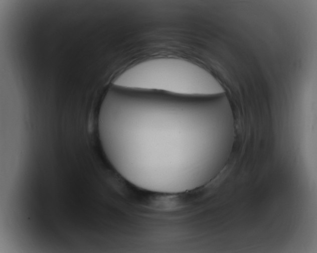 X0000100390132200806060841