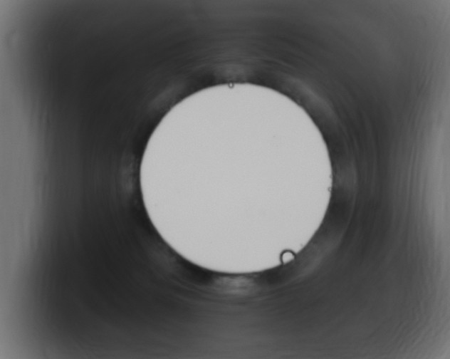 X0000100390133200806060841