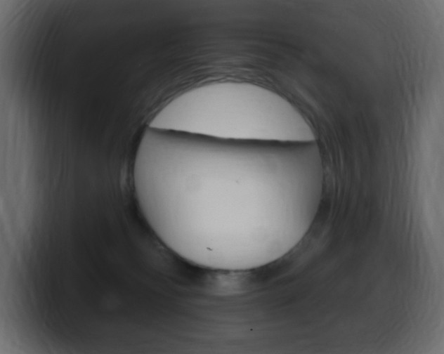 X0000100390134200806060841