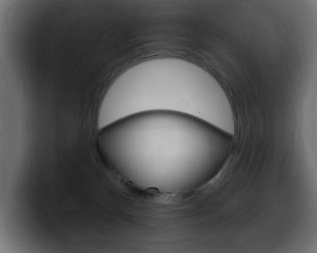 X0000100390136200806060841