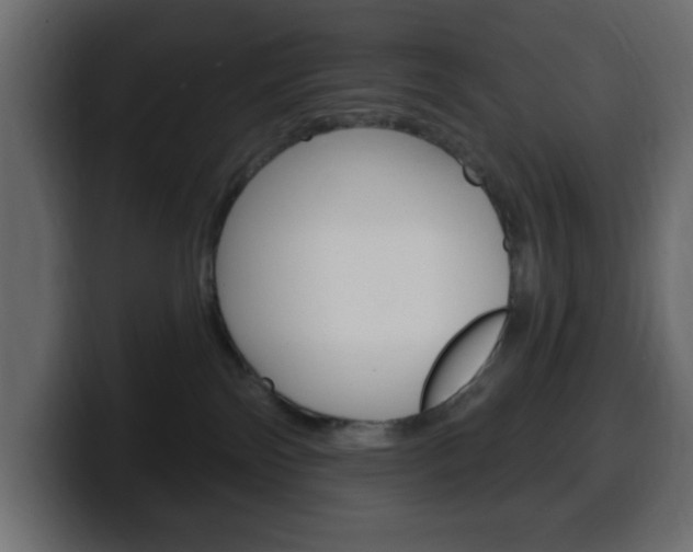 X0000100390138200806060841