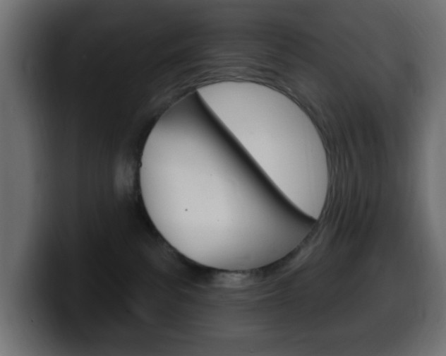 X0000100390139200806060841