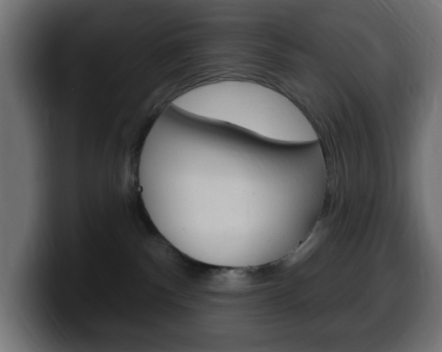 X0000100390140200806060841