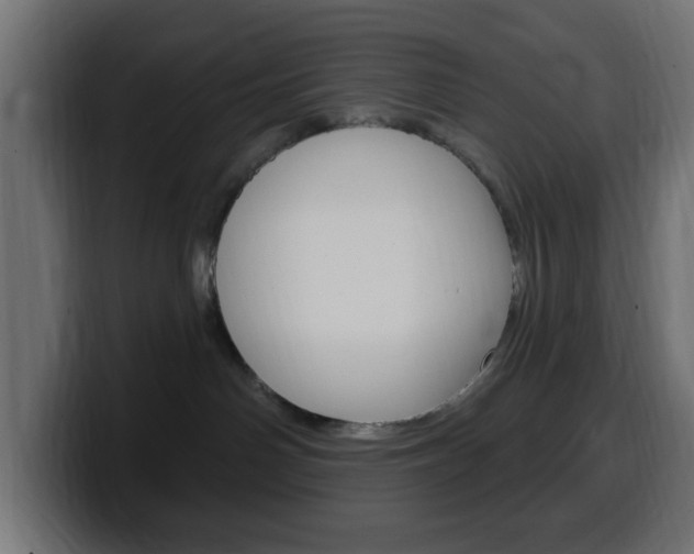 X0000100390142200806060841