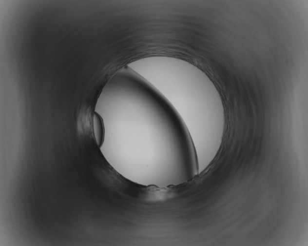 X0000100390143200806060841