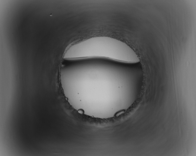 X0000100390144200806060841