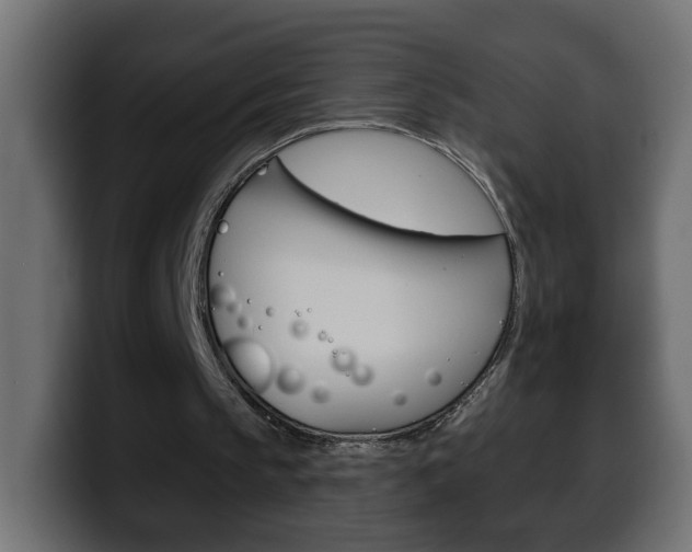 X0000100390145200806060840